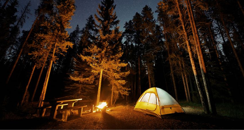 Quelle type de tente pour randonner en forêt ?