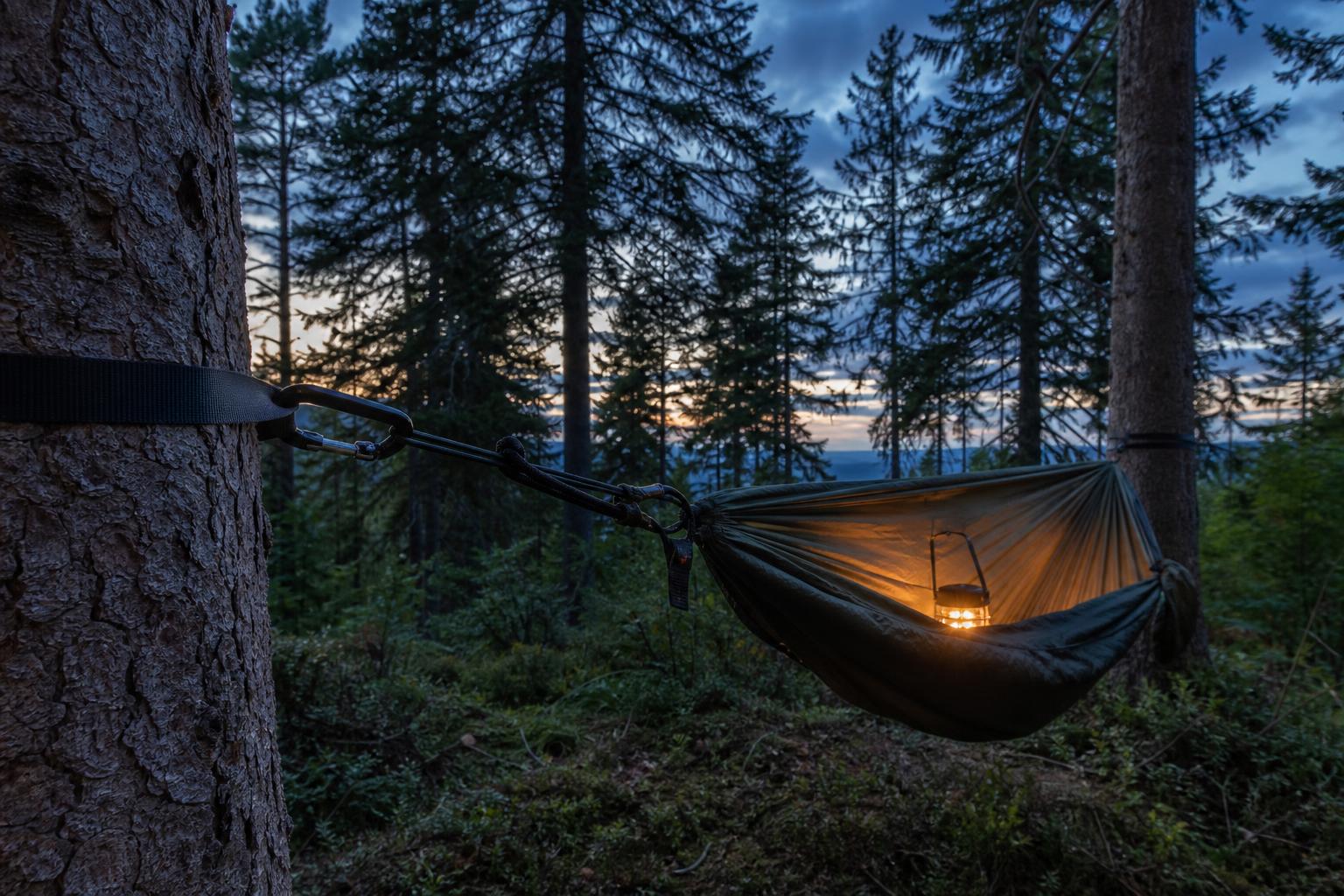 Installation étape par étape d'un hamac entre deux arbres en forêt