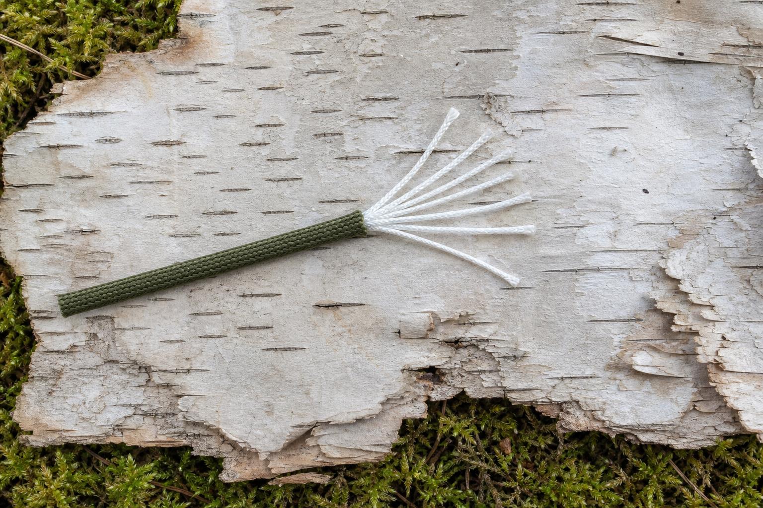 Coupe de paracorde révélant les brins internes sur écorce de bouleau en forêt