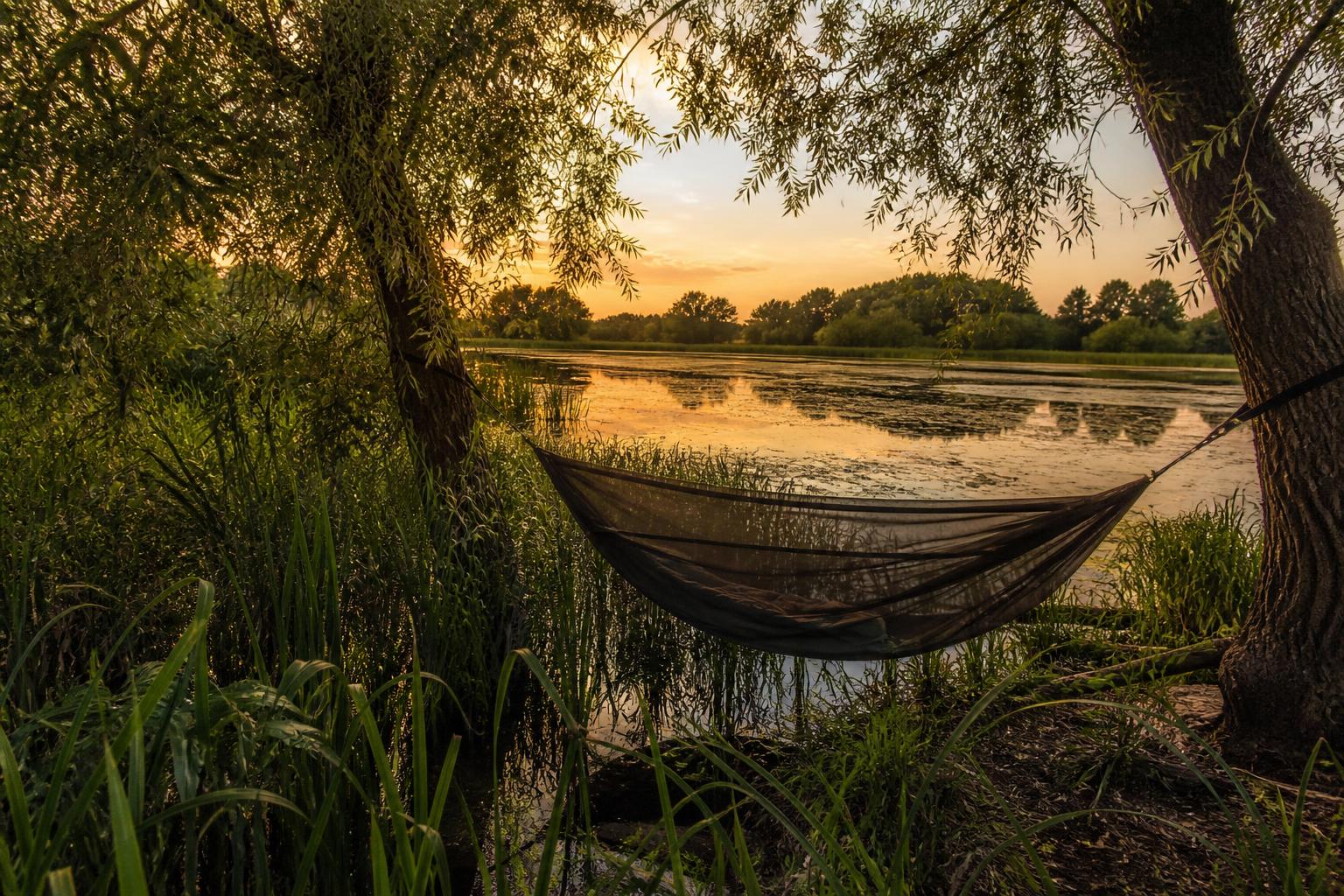 Hamac moustiquaire au bord d'une rivière zone humide France bivouac estival