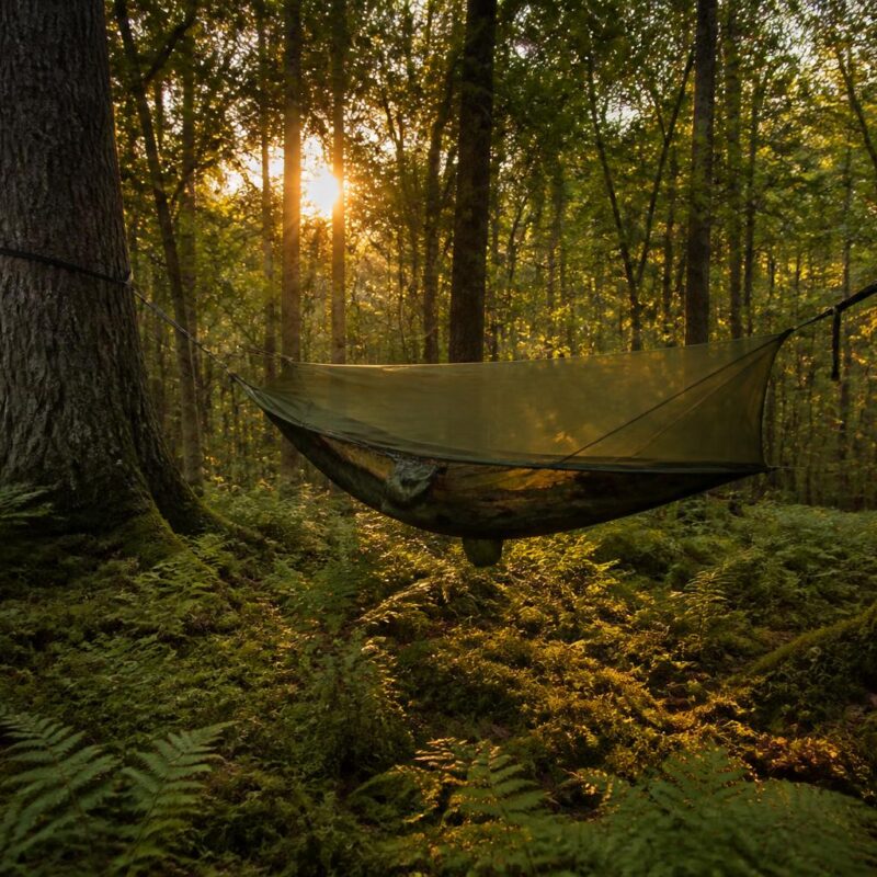 Hamac moustiquaire suspendu en forêt au coucher de soleil, bivouac estival
