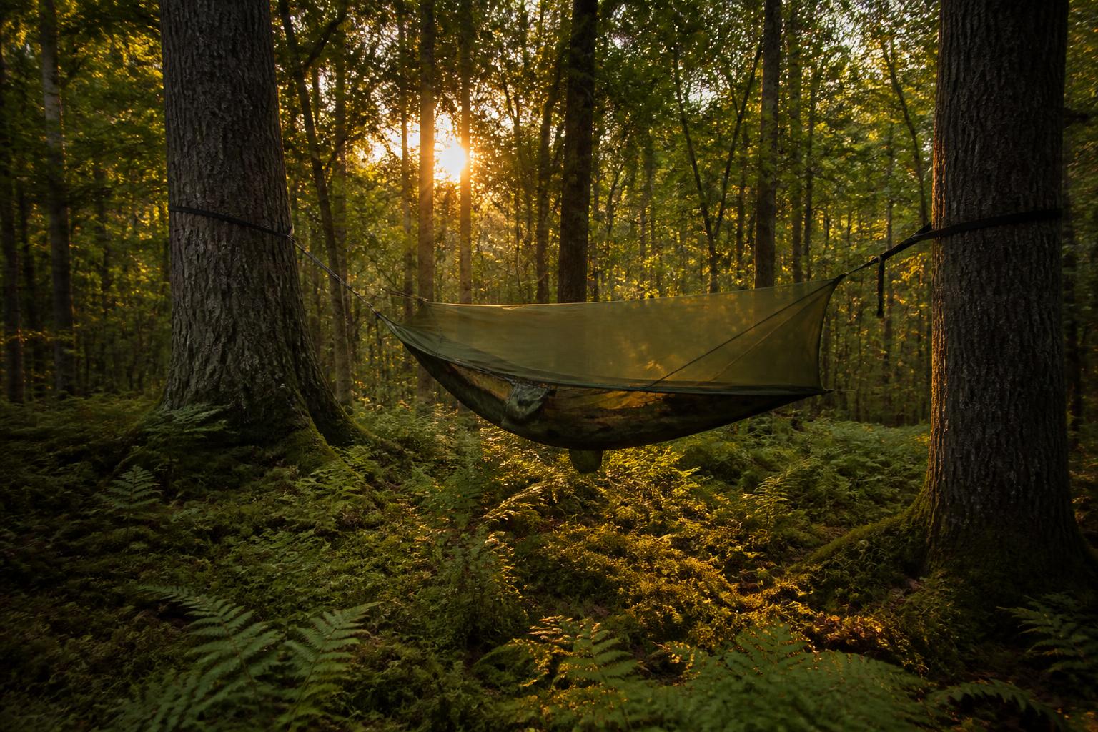 Hamac moustiquaire suspendu en forêt au coucher de soleil, bivouac estival