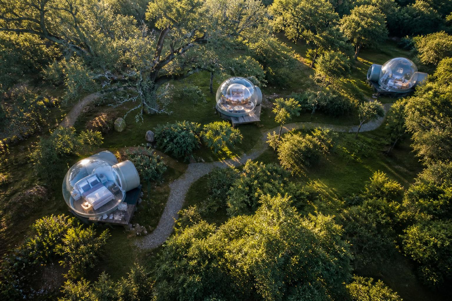 Vue aérienne glamping tente bulle implantation dans forêt luxuriante