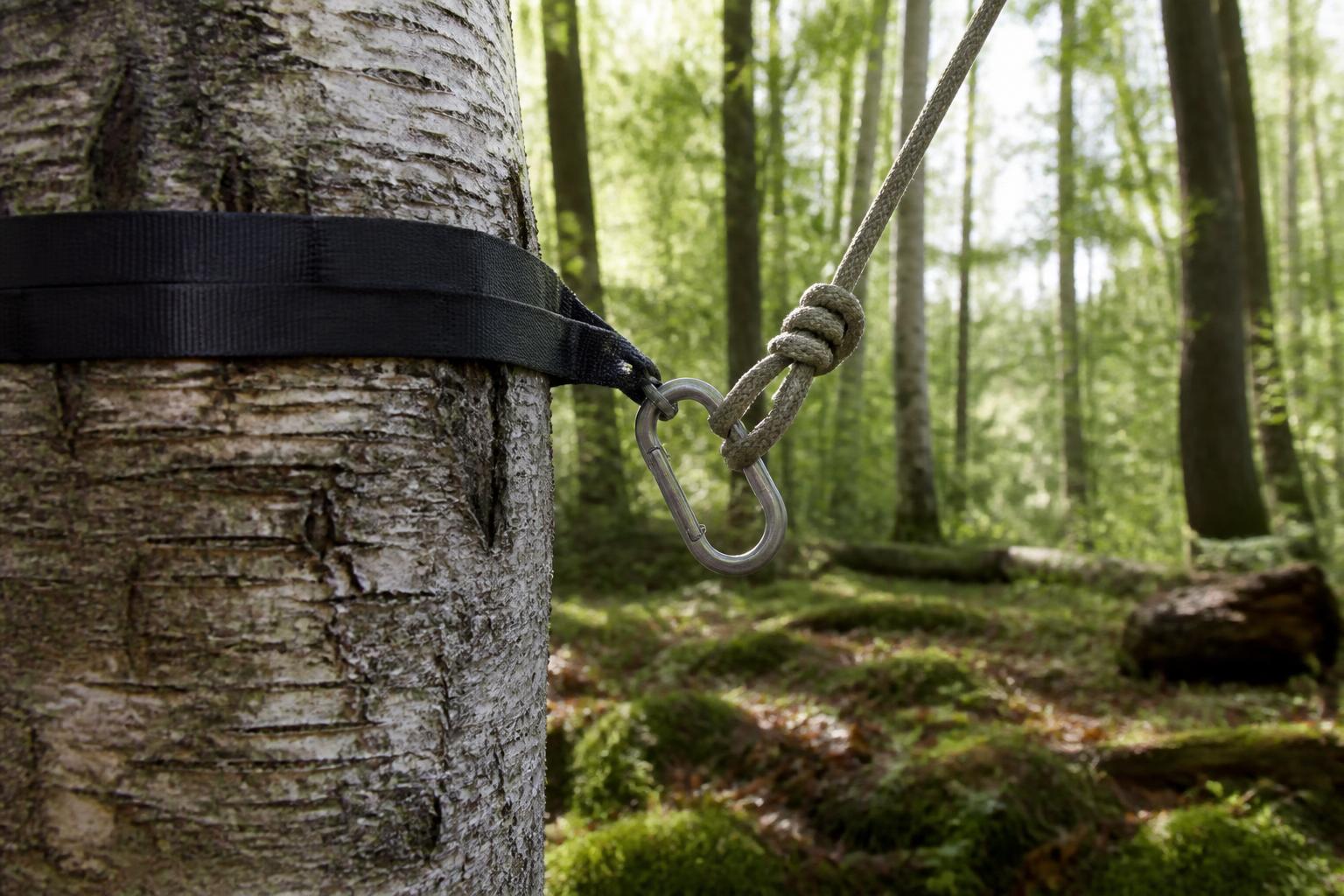 Point d'accroche sangle et mousqueton autour d'un arbre en forêt